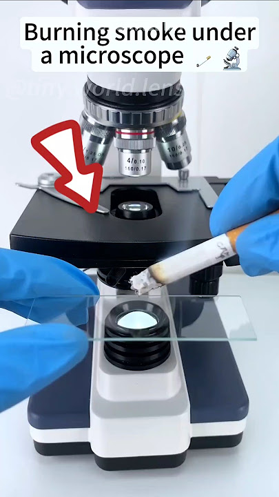 Ada apa itu didalam rokok!😱 #shorts #rokok #microscope