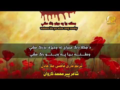پشتو ترانه وطنه بیا په وینو رنګ مه شی اواز قاضی ملا عادل شکلی ترانه