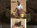 I want to do Tomatoes 🍅 Business #hilarioussunnie #canadalife #nigeria #socialmedia #sabinus #funny