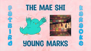 The Mae Shi - Young Marks - Fatbird Karaoke