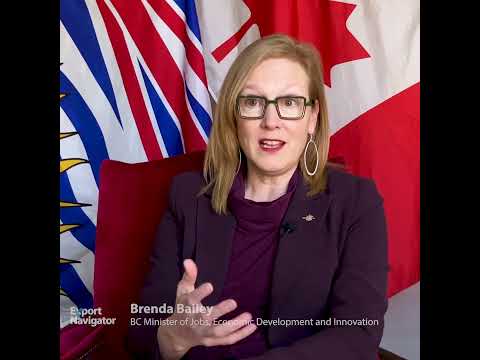 Achieve Results With the Export Navigator Program