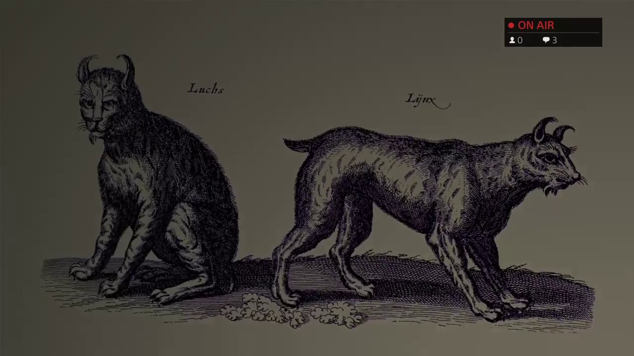 MUMBLESQUAD - The Last Guardian - Stream #2