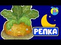 РЕПКА ♫ КОЛЫБЕЛЬНЫЕ И СКАЗКИ ДЛЯ МАЛЫШЕЙ И ДЛЯ ДЕТЕЙ ♫  0+