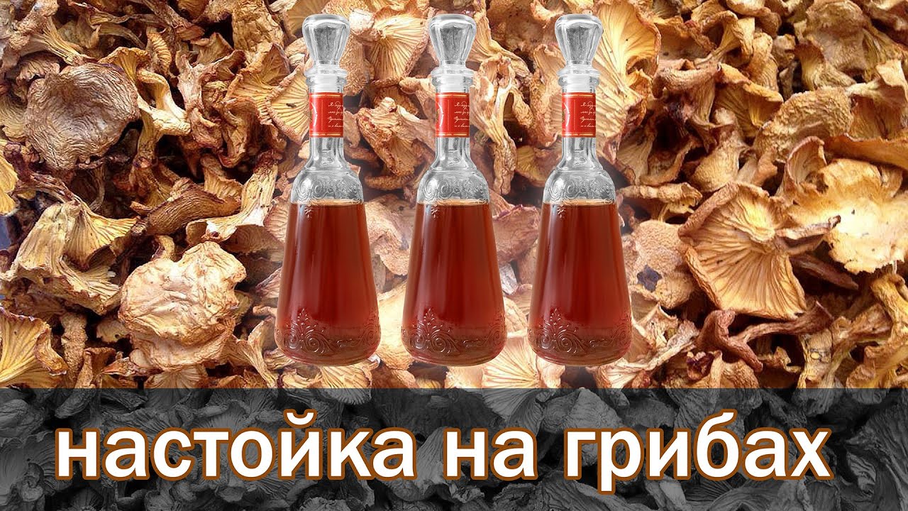 настойка грибная радужная купить