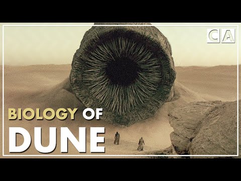 The Biology of Dune | Speculative Biology