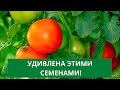 НЕ ДУМАЛА, что меня можно удивить ТАКИМИ СЕМЕНАМИ!