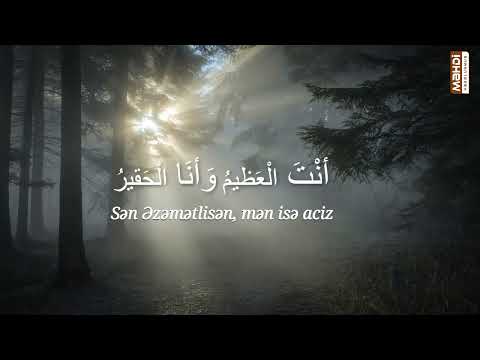 Movla ya Movla | Munacat İmam Əli (ə) | Mahdi Najafi | Vedolunmus Mahdi