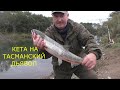 КЕТА НА ТАСМАНСКОГО ДЬЯВОЛА!!!РЫБАЛКА МЕЧТЫ!!НАЙТИ И ПОЙМАТЬ!!!