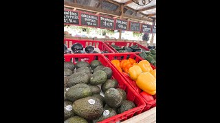 Best local farmers market? Theiss Farms Markets | Spring, Texas #explorespring