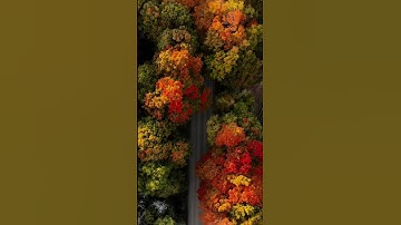 🔥 How Submodalities Shape Reality 🔥 #Mindset #NLP #Success #PersonalGrowth #MindsetShift