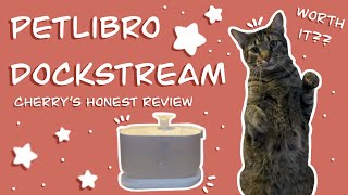 PETLIBRO WIRELESS FOUNTAIN | Dockstream | Cherry Potato | Best Cat fountain | Fountain review | Cats