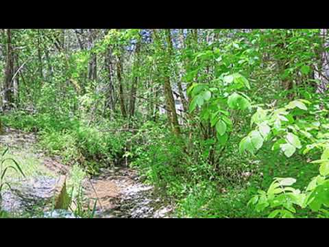 322 Round Prairie Rd, Wilderville, OR home video tour