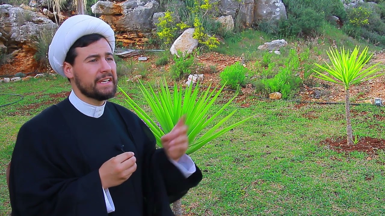 عمل صغير بوازي كل ليلة القدر شو هو؟ | الشيخ قاسم الجرمقي