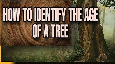 Dendrochronology, Tree Ring Dating Method, How To Identify The Age Of The Tree, पेड़ों की उम्र कैसे
