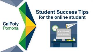 Success Tips for the Online Student