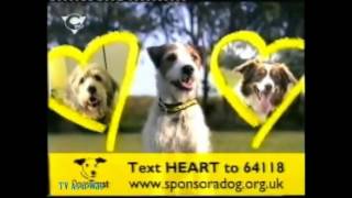 Citv Channel Continuity - Early 2008 1