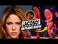 Todos acusaron a un FAN… pero la VERDAD sobre Shakira era OTRA