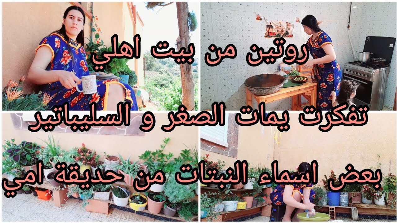 أقوى روتين من بيت اهلي⛔️توحشت يمات السليباتير والصغر وراحت البال😔😔اسماء بعض النبتات المنزلية🌹⚘️🌿أمي
