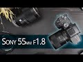 Sony Zeiss FE 55mm f1.8 - Long Term Lens Review