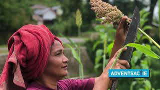 Adventsactie 2024, Voedzame Gewassen Voor Gezonde Families