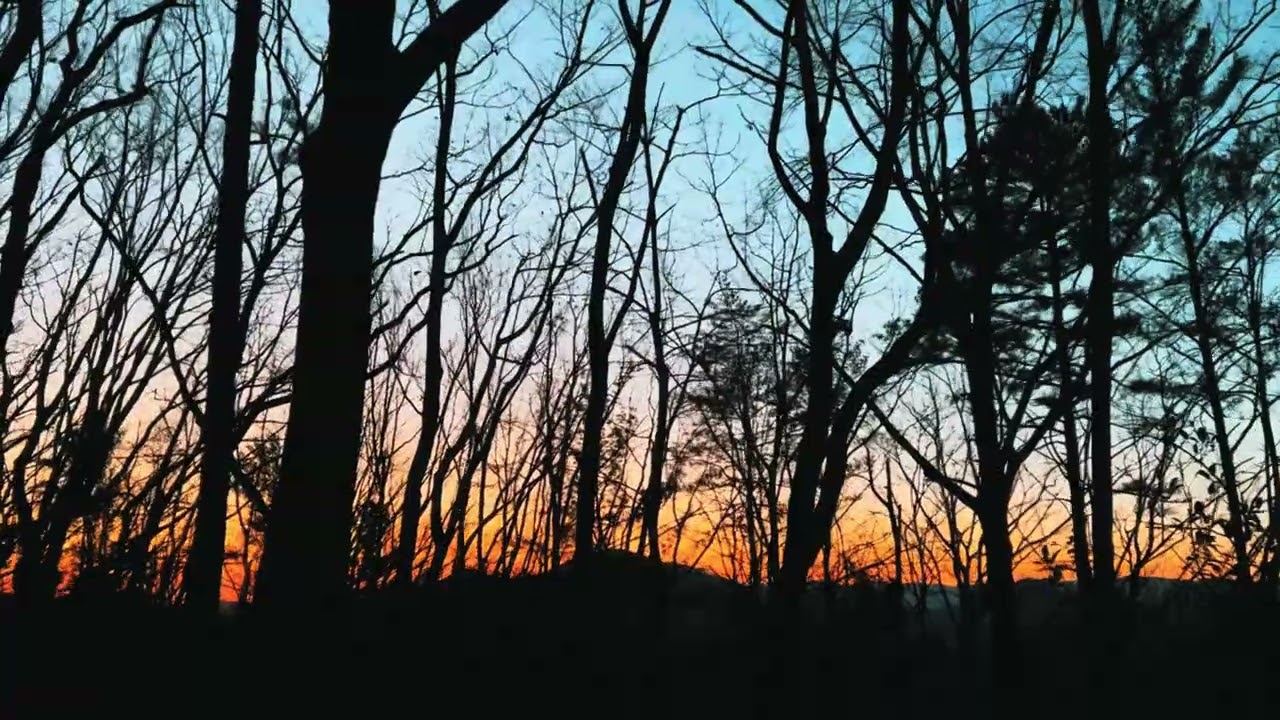 Tali Rodriguez   The Stillness ft  Feral Serge & Chuck Brown Lyrics (prod  by Chuck Chan)