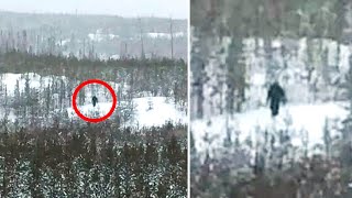 This Man Just Captured The Clearest Images Of Bigfoot Ever Taken In Yellowstone National Park