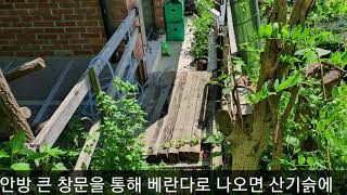 TheKims 그김가네 텃밭 | 고성 게스트하우스그김가네TheKims