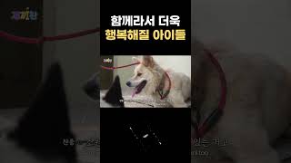 앞으로 서로의 삶에 힘이 되어줄 것 같아요❣️