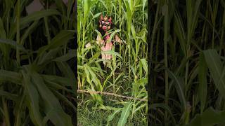 Chudail | Bhoot | Bhut | Ghost | Horror video | Bhoot wala cartoon | Cartoon wala bhoot #ghost #ai