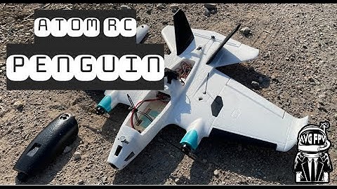 AtomRC Penguin - Agility / Proximity / Crash