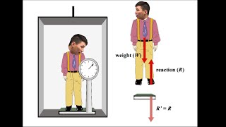 Elevator Problem (Classic!) - IB Physics A.2 (Part 7)