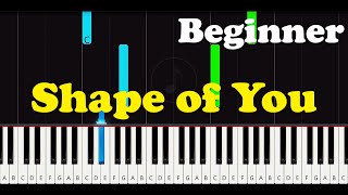 Shape of You Easy Piano