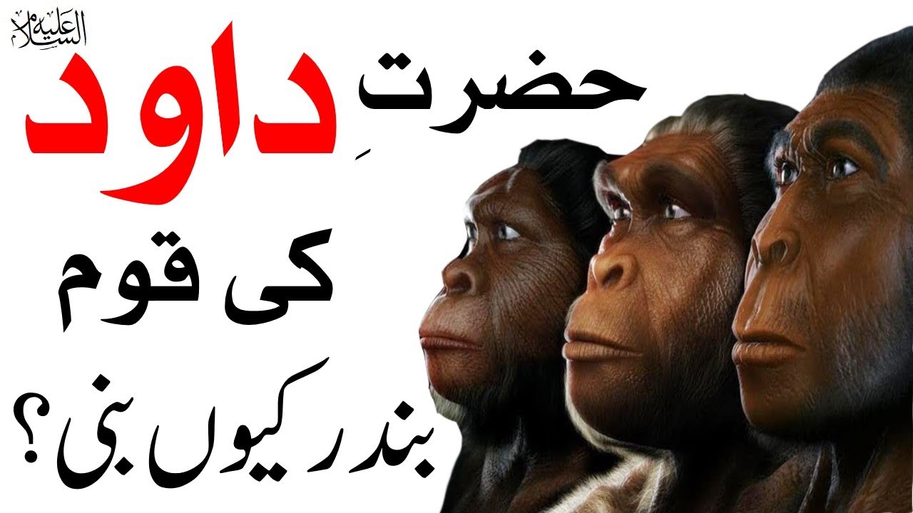 Why did David's people become monkeys? | حضرت داؤد علیہ السلام کی قوم بندر کیوں بنی | MT