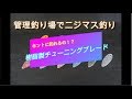 プラスチック製チューニングブレードでニジマスを釣る！「ウィローリーフECO」