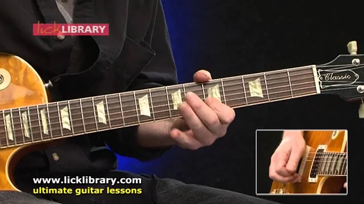 Beginner Blues Guitar Performance By Danny Gill Licklibrary