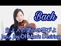 【バッハ】主よ、人の望みの喜びよ Bach - Jesu, Joy of Man’s Desiring