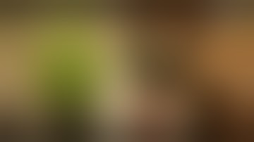 Week 7 Skywalker OG mainline under Mars Hydro TSW2000 in a 3x3 tent