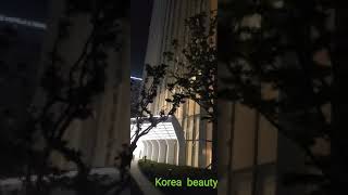 123층 This is 123 stories tall, and is the tallest building in Korea. 