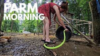 Homestead Morning Routine | Feeding Chickens, Sheep & All Our Farm Animals