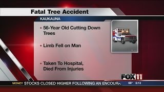 Man killed by tree in Kaukauna