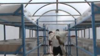 VIDEO ON CHILLI DRYING