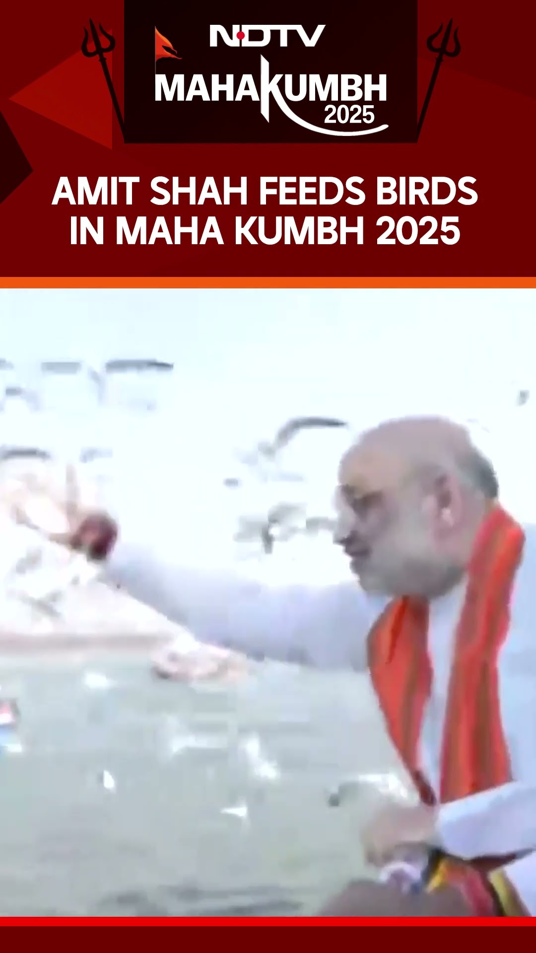 Maha Kumbh 2025: Union Home Minister Amit Shah With His Family Feeding Seagulls | Visuals
