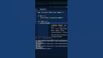 ➕➖ Check Positive or Negative Number in Python in 15 Seconds! ⚡ #Shorts #nextGenCoder #codinginhindi