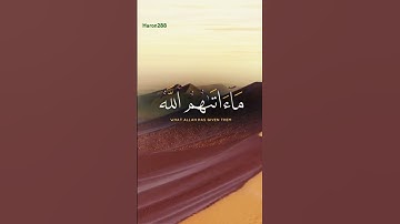 ترتيل القارئ محمد الفقيه #المصحف #اكسبلور #القرآن_الكريم #حالات_واتس #duet
