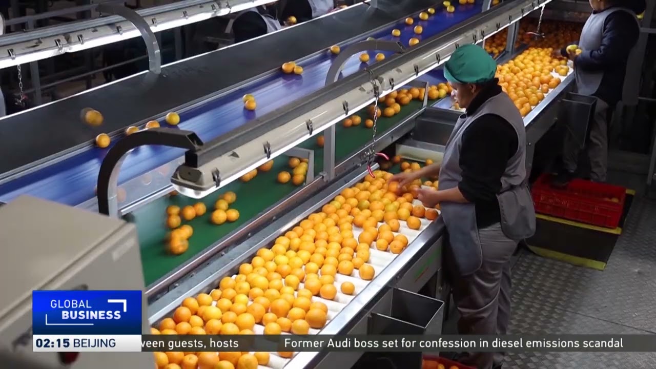 Still from Future of South Africa's citrus to EU hangs in the balance