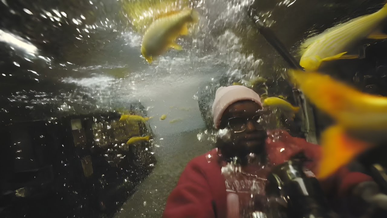 Watch LilChika - Chika or Chico (Official Music Video) on YouTube Watch LilChika - Chika or Chico (Official Music Video) on YouTube
