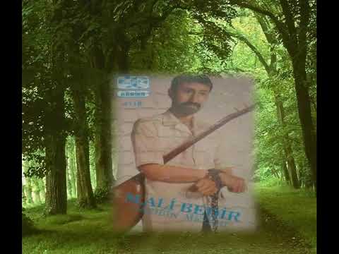 Asik Mehmet Ali Bedir - Garibin Mezari - ( Konusmali ) - ( Harika 4118 )