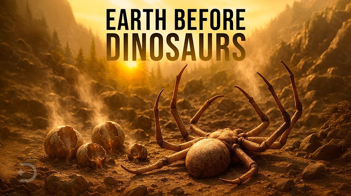 Prehistoric Mystery: What Really Killed the Giant Insects? thumbnail