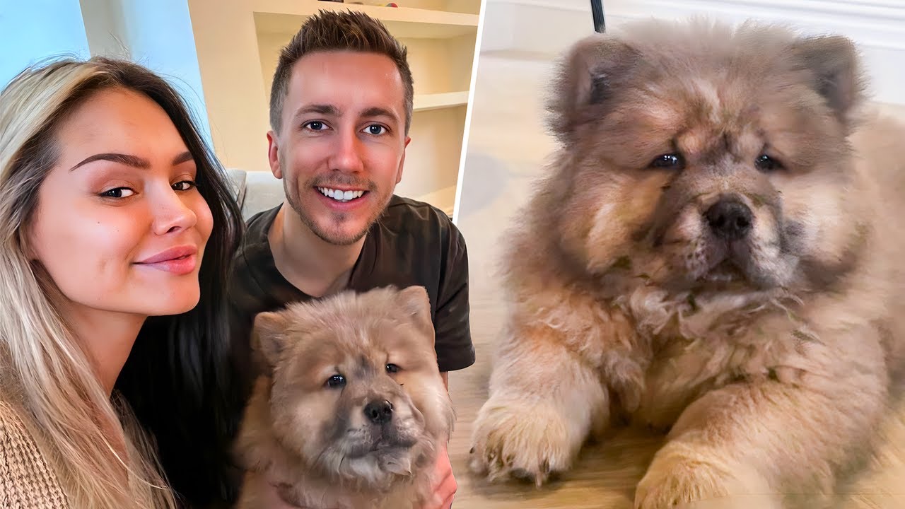 WE GOT A DOG! YouTube