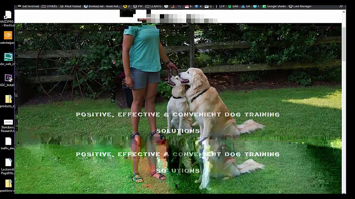 Boost Dog Training Website with Expert SEO Services in Philadelphia